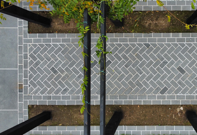 stormontlandscapedesign